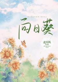 向日葵怎么养