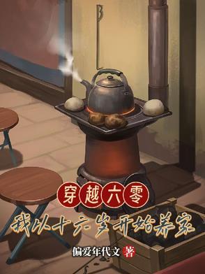 穿越六零我从十六岁开始养家 6