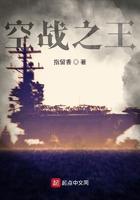 空战之王游戏里为国造五代战机 我科技大师