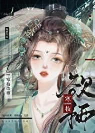 寒枝欲栖好看吗