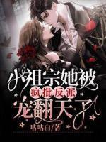 沈清梦季星河苏如如