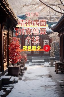 四合院书