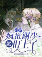 女主叫陆清欢男主叫谢宴北