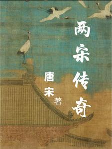 两宋传奇这个书名怎么样 两宋传奇这个书名怎么样