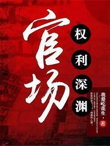 官场权欲一个小人物的成长史
