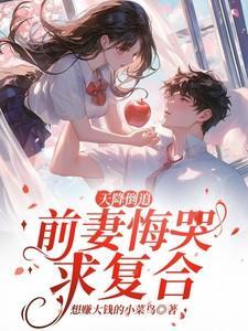 天降妻主全文免费阅读