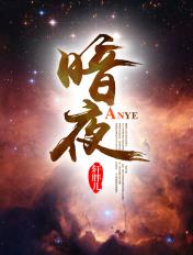 暗夜与黎明40集