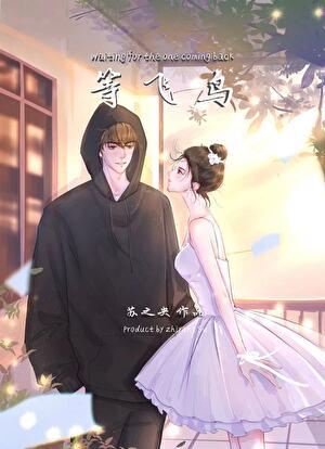 等飞鸟免费阅读