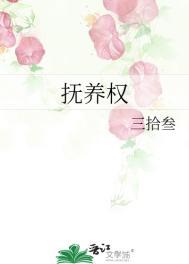 抚养权的法律规定