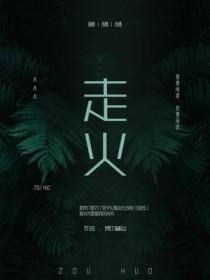 走火大结局