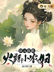 状元郎的小夫人