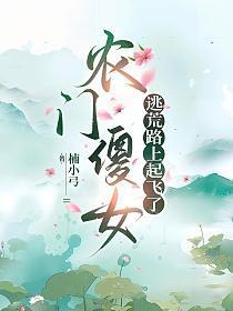 农门傻女txt