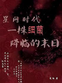 星网是什么公司