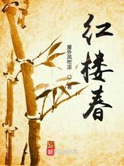 红楼梦书