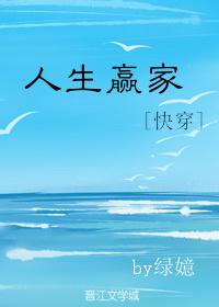 人生赢家短剧免费观看
