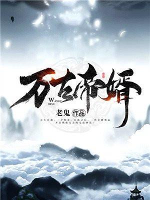万古帝婿夜玄免费阅读无错版