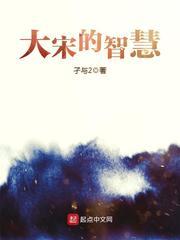 大宋的智慧作者