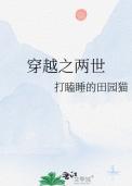 穿越之两世无防盗