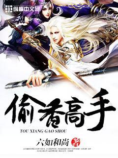 偷香高手无广告