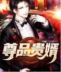 尊品贵婿在线阅读无弹窗