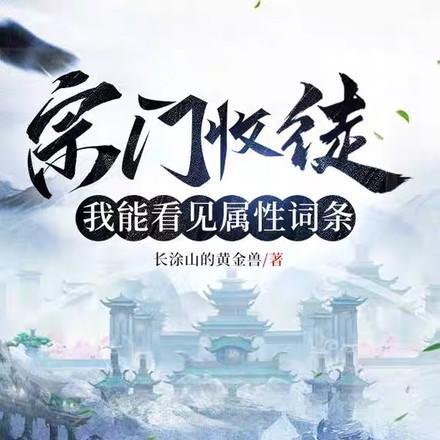 我能看见属性词条的境界划分