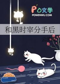 论黑时宰he的可能