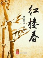 红楼春趣好词好句