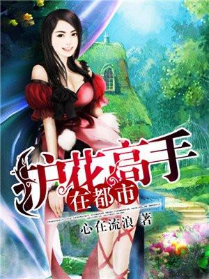 护花高手在都市漫画