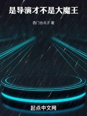华娱导演只想省钱目录