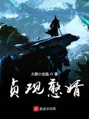贞观憨婿全集免费观看