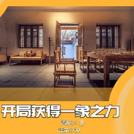 四合院开局获得一象之力的