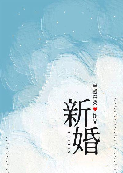 新婚姻法对房子归属是怎么定的