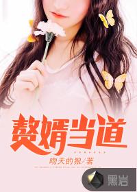 赘婿当道(南桥故人)