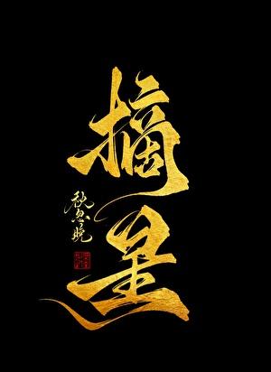 摘星讲的是什么故事