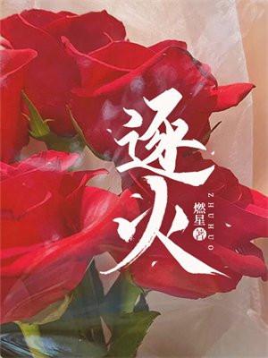 逐火十三英桀顺序