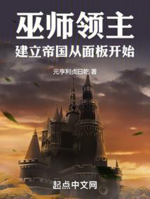 巫师领主建立帝国从面板开始元亨利