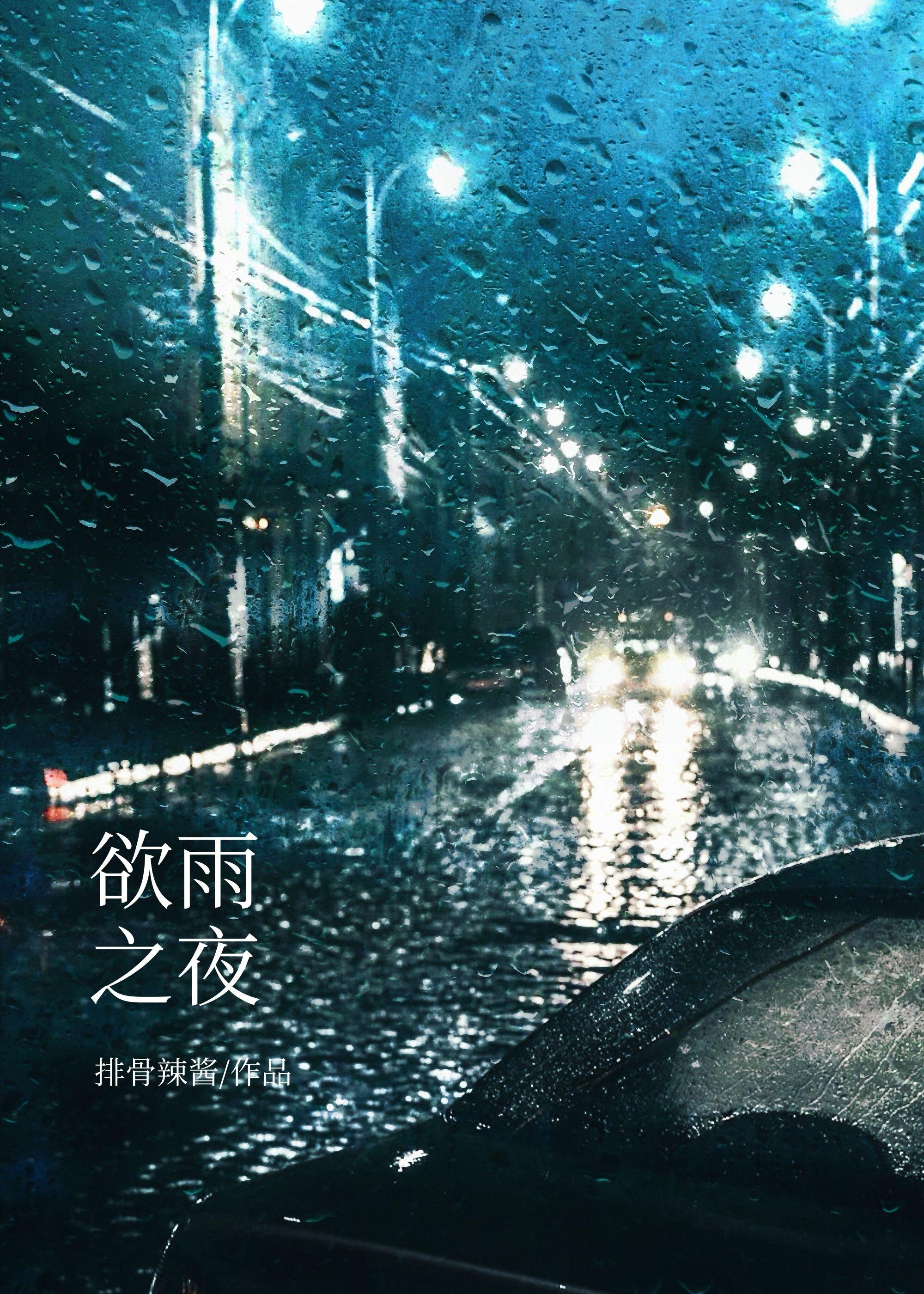 欲雨之夜番外免费阅读