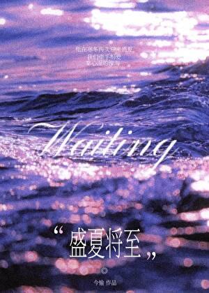 盛夏将至免费完整版
