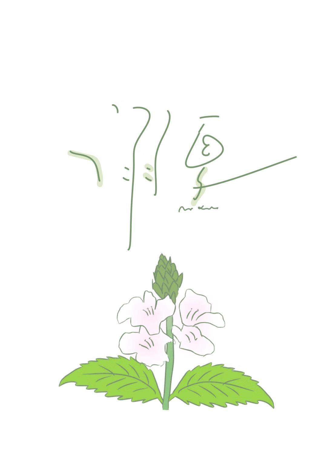 溺夏狂澜最新章节免费阅读