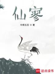 仙寥无防盗