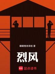 烈风马丁