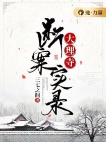 大理寺断案实录全文阅读