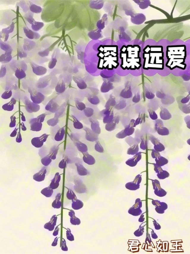 深谋远虑是褒义词吗