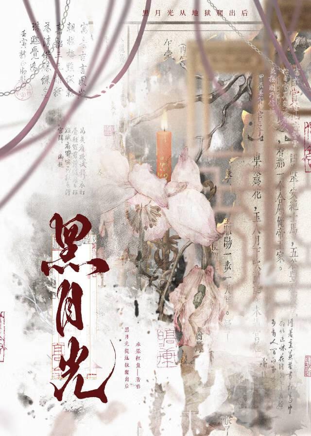 黑月光她从良了许声声