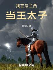 我在法兰西当王太子精校