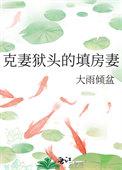 克妻狱头的填房妻 大雨倾盆