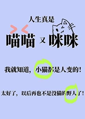 小猫咪变成人类幼崽后番外