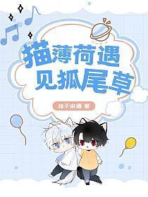 猫薄荷草有什么作用