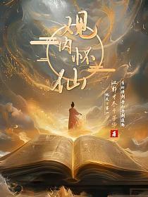 观内怀仙翻译