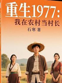 我在农村当支书